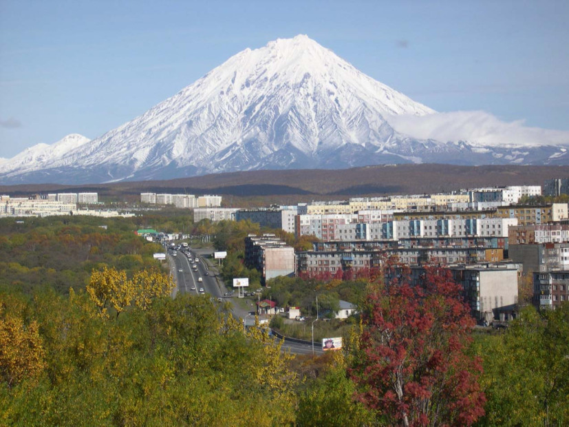wikimedia_search