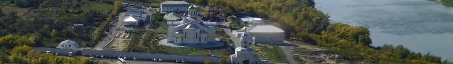 wikimedia_search