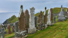 wikimedia_search
