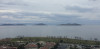wikimedia_search