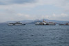 wikimedia_search