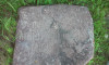 wikimedia_search