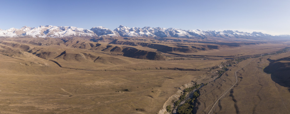 wikimedia_search