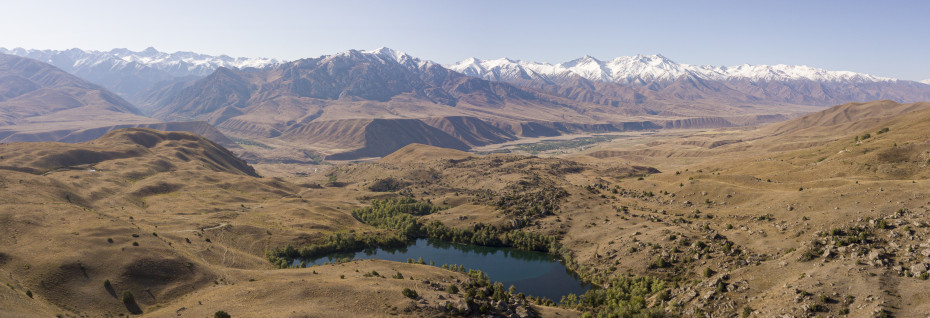 wikimedia_search