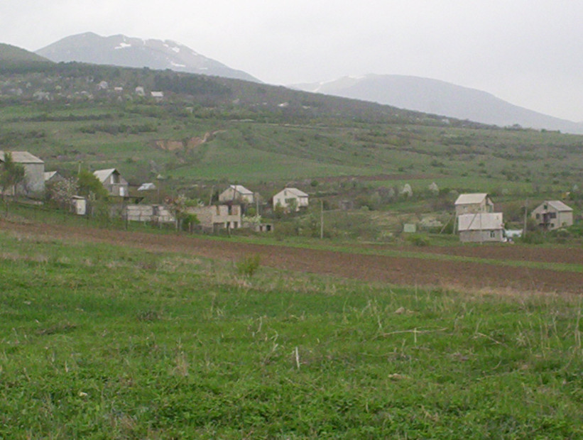 wikimedia_search