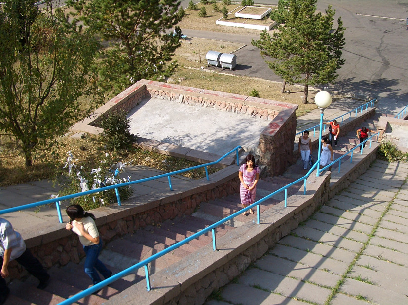 wikimedia_search