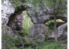 wikimedia_search