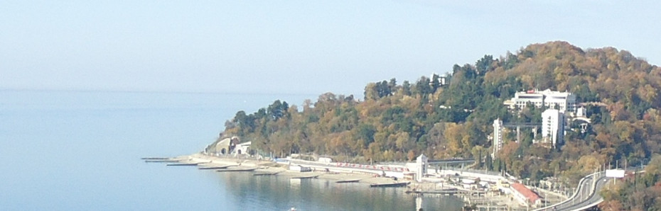 wikimedia_search