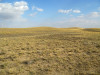 wikimedia_search