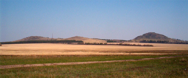 wikimedia_search