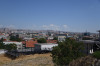 wikimedia_search