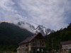 wikimedia_search