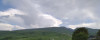 wikimedia_search