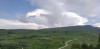 wikimedia_search