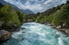 wikimedia_search