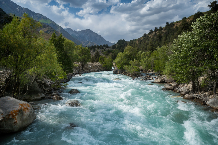 wikimedia_search
