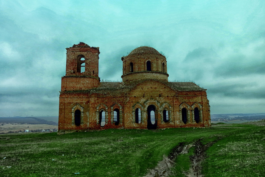 wikimedia_search