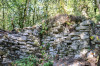 wikimedia_search