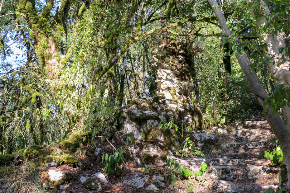 wikimedia_search