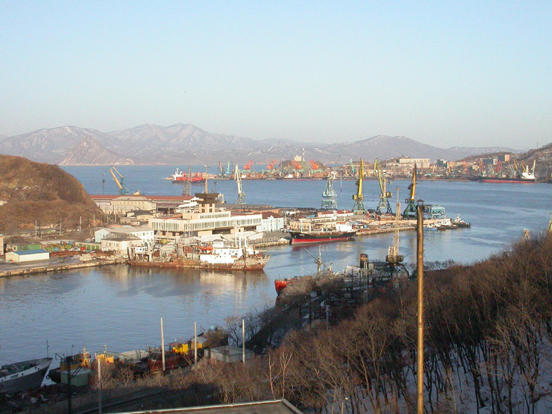 wikimedia_search