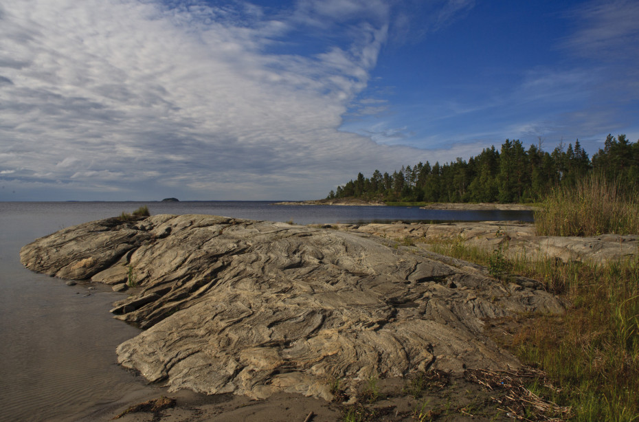 wikimedia_search