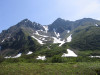 wikimedia_search