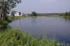 wikimedia_search