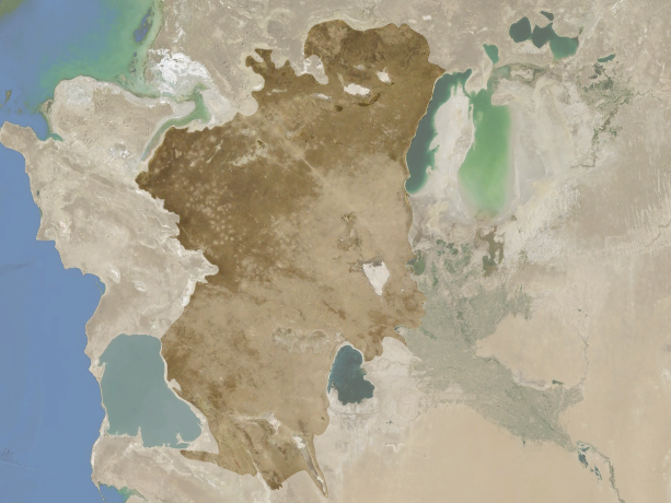 wikimedia_search