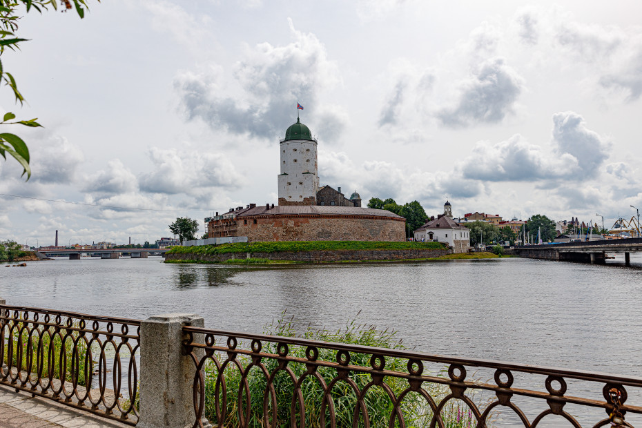 wikimedia_search