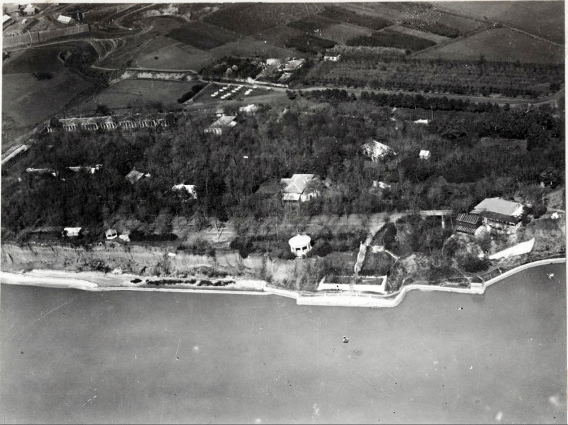 wikimedia_search