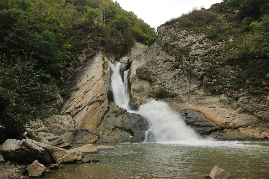 wikimedia_search