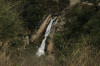 wikimedia_search