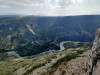 wikimedia_search