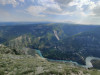 wikimedia_search