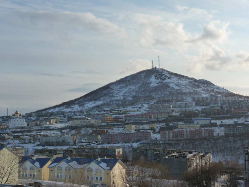 wikimedia_search
