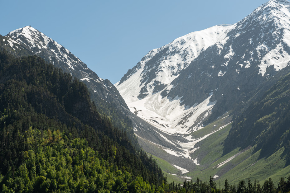 wikimedia_search