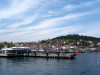 wikimedia_search