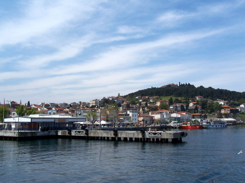 wikimedia_search