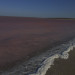 wikimedia_search
