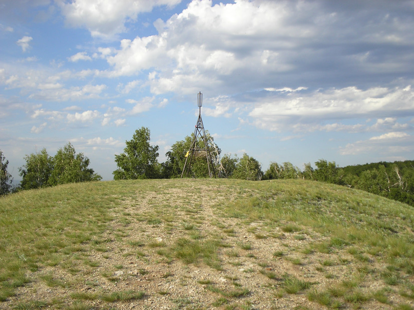 wikimedia_search
