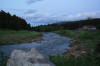 wikimedia_search