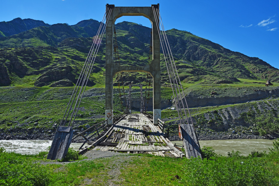 wikimedia_search