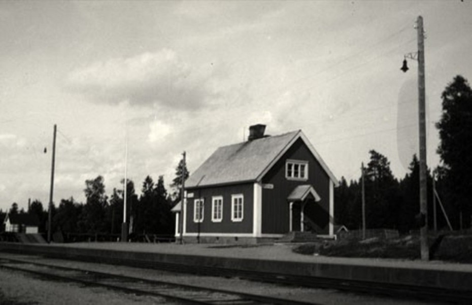 wikimedia_search
