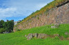 wikimedia_search