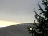 wikimedia_search