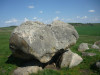 wikimedia_search