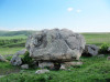 wikimedia_search