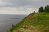 wikimedia_search