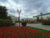 wikimedia_search