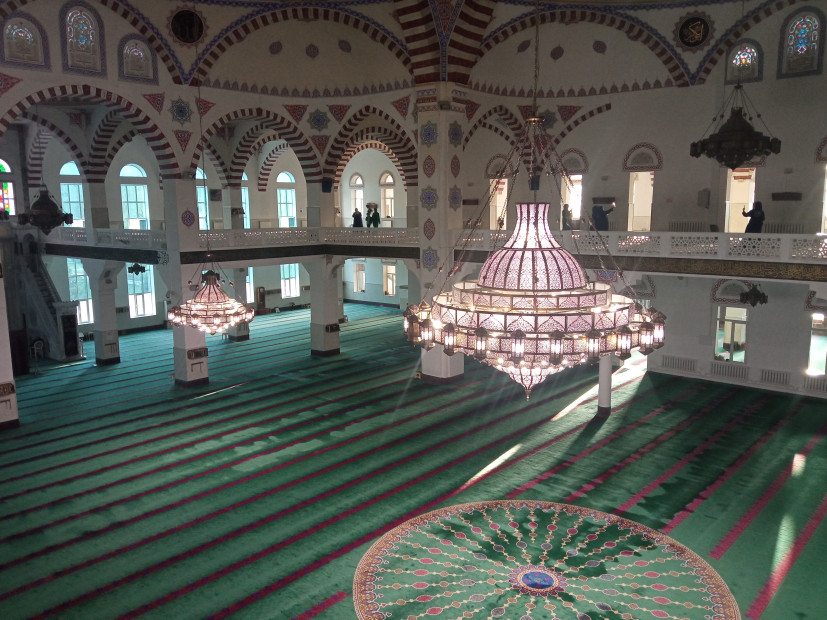 wikimedia_search